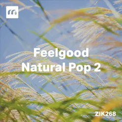 Feelgood Natural Pop 2