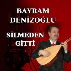 Silmeden Gitti