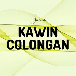 Kawin Colongan