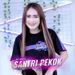 Santri Pekok