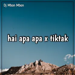 Dj hei apa apa x tiktak