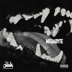 MEGABYTE