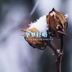 才情琴韵