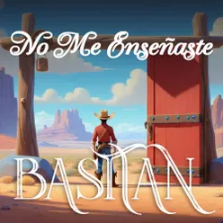 No Me Enseñaste