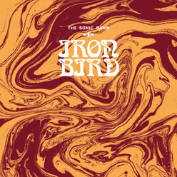 Iron Bird