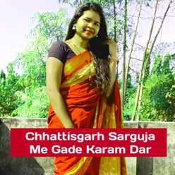 Chhattisgarh Sarguja Me Gade Karam Dar