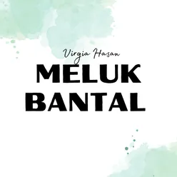 Meluk Bantal