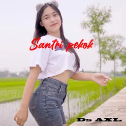 Santri Pekok