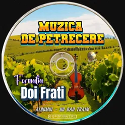 Formatia Doi Frati - MUZICĂ DE PETRECERE