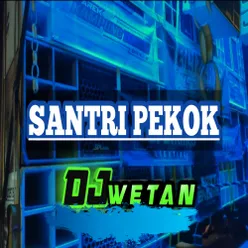 Santri Pekok