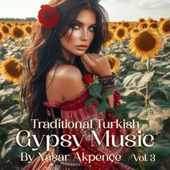 Traditional Turkish Gypsy Music, Vol. 3