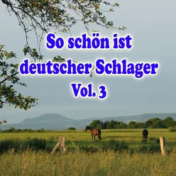 So schön ist deutscher Schlager, Vol. 3