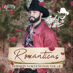 Romanticas - Version Norteño Sax, Vol. 1