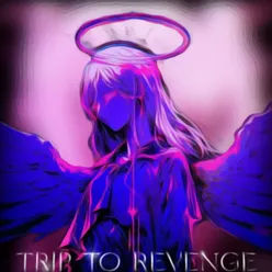 TRIP TO REVENGE