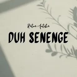 Duh Senenge