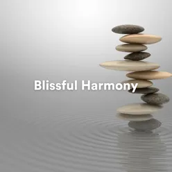 Oasis of Zen Harmony