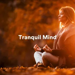 Mindful Meditation Oasis