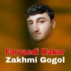 Zakhmi Gogol