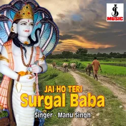 Jai Ho Teri Surgal Baba