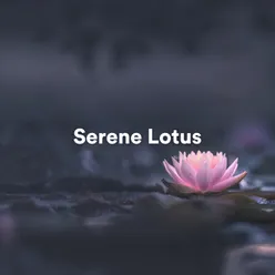 Serene Lotus