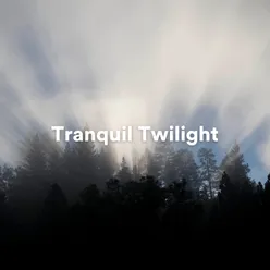 Tranquil Twilight: Ambient Melodies for Evening Meditation and Relaxation