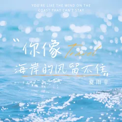 你像海岸的风留不住