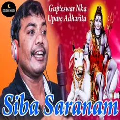 Siba Saranam