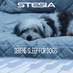 Serene sleep for dogs