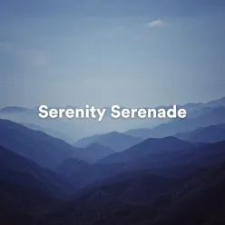 Serenity Serenade: Calming Ambient Melodies for Deep Relaxation