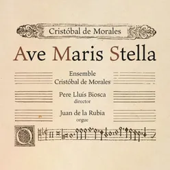 Missa Ave maris stella: IV. Sanctus