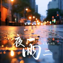 夜雨2