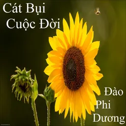 Tơ duyên remix