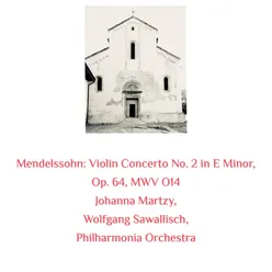 Violin Concerto No. 2 in E Minor, Op. 64, MWV O14: I. Allegro molto appassionato