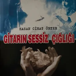 Gitarın Sessiz Çığlığı