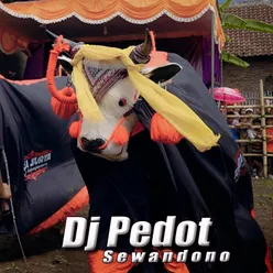 Dj Pedot Sewandono instr