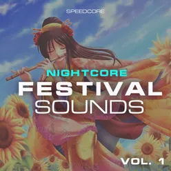 Nightcore Festival Sounds, Vol. 1