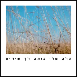 הלב שלי כותב לך שירים