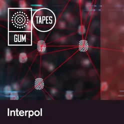 GTP316 Interpol