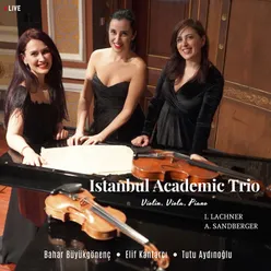 Trio - Sonate, Op. 4: I. Mit Leidenschaft