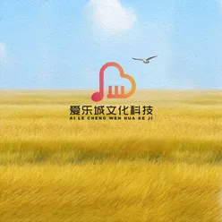 阿娜尔罕，我的黑眼睛