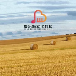 草原歌曲 新疆民歌经典大全 新疆维吾尔族音乐 竹笛独奏曲 中国经典民乐独奏曲3