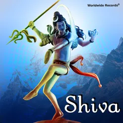 Shri Shivji Aarti