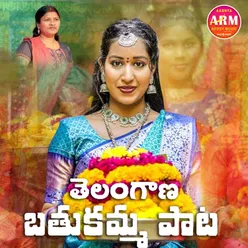 Telangana Bathukamma Pata