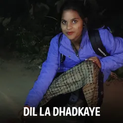 Dil La Dhadkaye