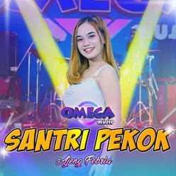 Santri Pekok