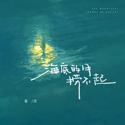 海底的月捞不起