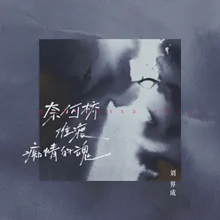 奈何桥难渡痴情的魂