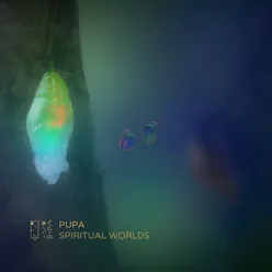 Spiritual Worlds