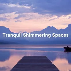 Tranquil Shimmering Spaces
