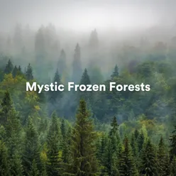 Mystic Frozen Forests